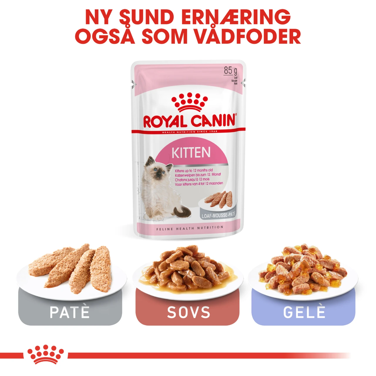 Royal Canin Second Age Kitten 2 kg